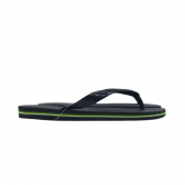Chinelo Unissex Havaianas 4000032 - PRETO