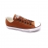 Tenis Feminino All Star Ct0450 - CASCA DE NOZES / MARROM URSO / BRANCO