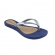 TERRA E AGUA CHINELO 260902 - PRATA / AZUL