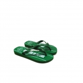 Chinelo Masculino Havaianas 4148309 - VERDE / PALMEIRAS