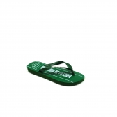 Chinelo Masculino Havaianas 4148309 - VERDE / PALMEIRAS